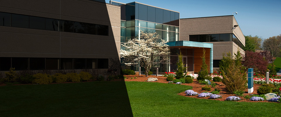 Creve Coeur Landscapers