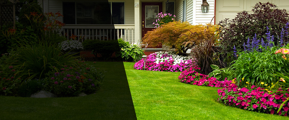 Creve Coeur Landscapers